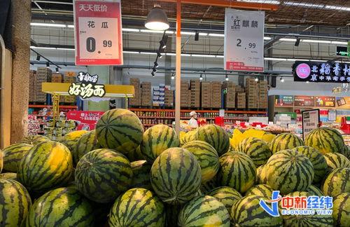 小瓜今日报价最新,新鲜瓜果价格一览，尽享夏日清凉时光”