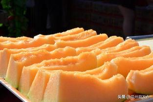 酒泉瓜州蜜瓜今日价格,价格行情一览