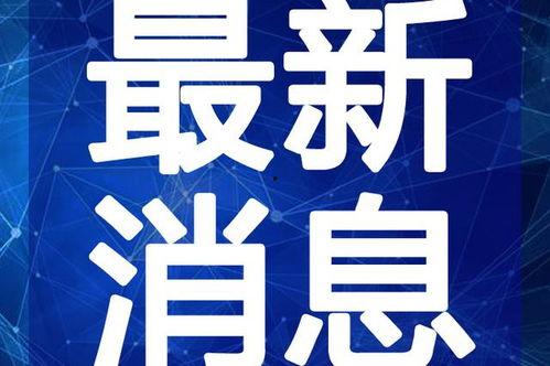 最新吃瓜爆料模仿视频下载,吃瓜爆料带你一探究竟，独家下载教程大公开！
