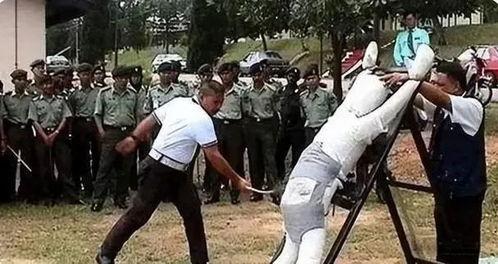 鞭刑视频,揭秘残酷刑罚背后的真相
