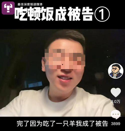 先生视频,探寻历史与文化的独特视角