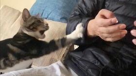 皮皮吃瓜爆料,娱乐圈最新猛料大揭秘