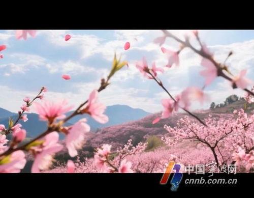 桃花视频在线观看,在线观看，尽享视觉盛宴