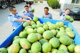 网红爆料吃瓜群,揭秘吃瓜群背后的惊人内幕