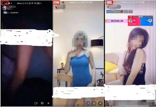 成人网视频,激情与禁忌的视觉盛宴