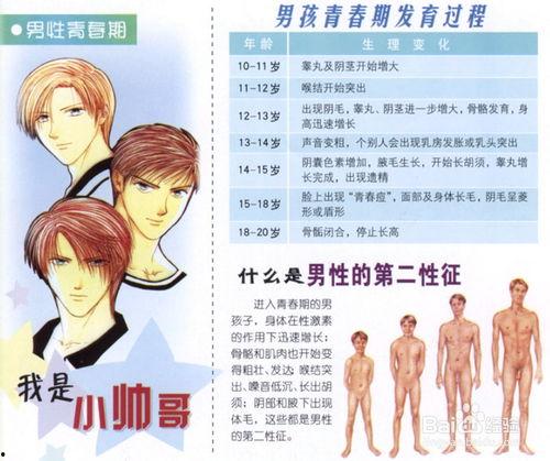 青春期性教育视频,揭秘成长关键期的生理与心理变化