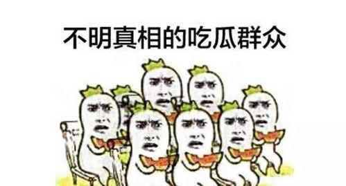 郑州今日吃瓜事件真相