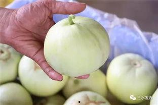 今日吃瓜必看,揭秘娱乐圈最新瓜料，吃瓜群众必看！