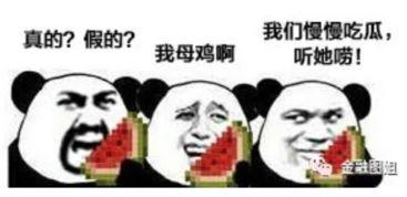 吃瓜爆料在哪里等你,揭秘幕后等你揭秘的神秘世界
