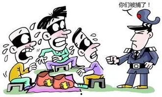吃瓜等爆料荒岛诈骗犯,吃瓜群众揭秘荒诞诈骗真相