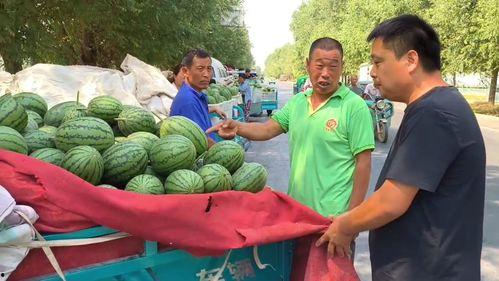 韩寺今日吊瓜价格,市民争相购买