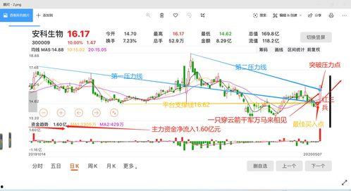 五龙小白瓜今日价格走势