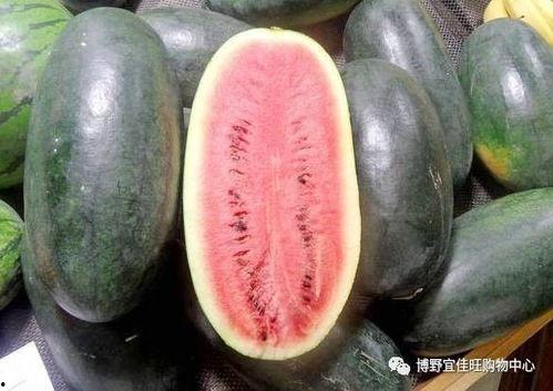 每日黑瓜吃料量是多少,揭秘其惊人食量背后的秘密