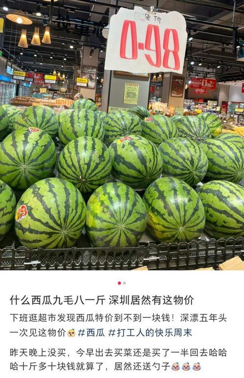 今日上新吃瓜视频,揭秘娱乐圈最新吃瓜视频，精彩瞬间不容错过！