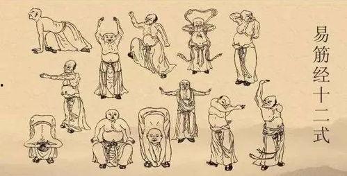 易筋经教学视频,古法养生秘籍的现代演绎