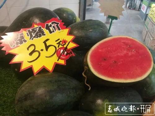 黑瓜吃料网版官网,探索美食新天地，尽享美味人生