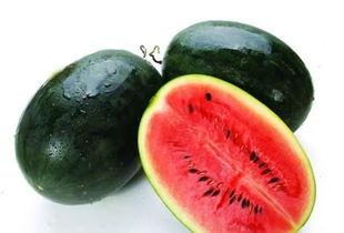 黑瓜吃料正能量往期内容,回顾往期精彩，传递积极力量