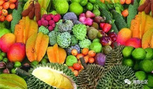 海南水瓜今日价格,实惠之选，品质生活新宠