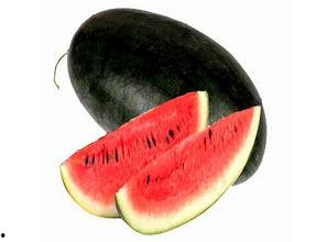 海南水瓜今日价格,实惠之选，品质生活新宠