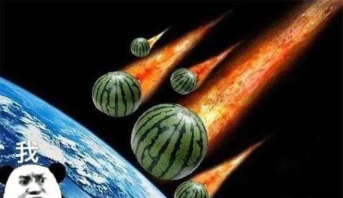 吃瓜爆料里朱雀是谁,揭秘吃瓜爆料中的神秘角色