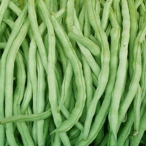 今日新鲜事瓜剖豆,瓜剖豆生，揭秘娱乐圈幕后风云