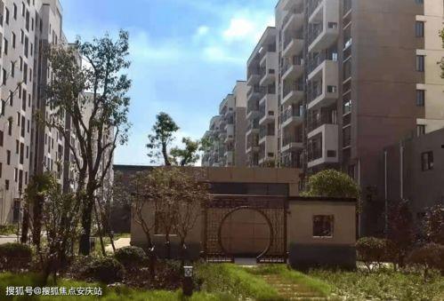 瓜菜行情今日价格表最新,涨跌互现，市场动态解析