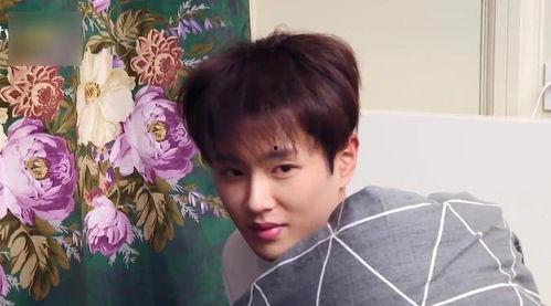 吃瓜爆料社范丞丞,吃瓜爆料社揭秘娱乐圈背后的故事