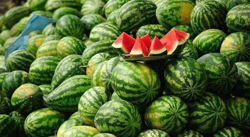 农村吃瓜爆料图片大全,趣味瞬间大盘点