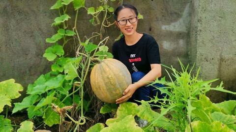 农村吃瓜爆料图片大全,趣味瞬间大盘点