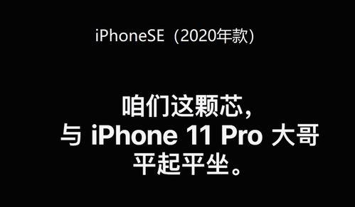 吃瓜黑历史正能量文案,吃瓜黑历史中的正能量瞬间