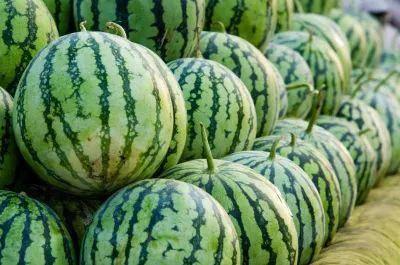 全国各地吃瓜爆料资源,吃瓜爆料一网打尽