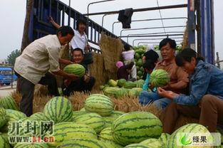 开封今日鲜瓜价格,市民抢购热潮涌动”
