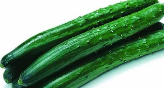 今日宜吃瓜章玉,章玉带你领略美食与娱乐的完美融合