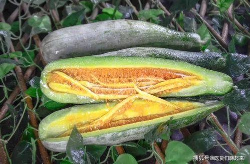 网红吃瓜 爆料,揭秘娱乐圈背后的惊人真相