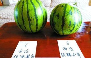 黑圈吃瓜,揭秘娱乐圈背后的秘密与真相