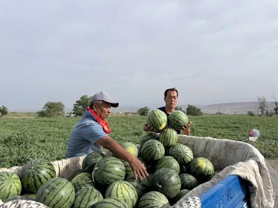 吃瓜爆料一区二区三区,一区二区三区风云录