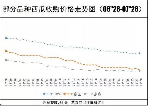 次瓜价格今日行情,涨跌背后的市场动态”