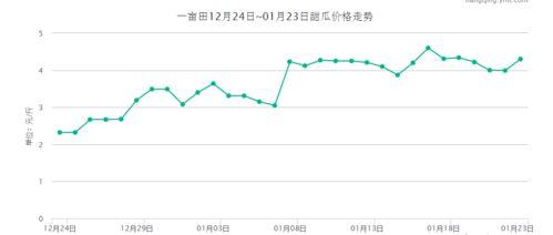 次瓜价格今日行情,涨跌背后的市场动态”