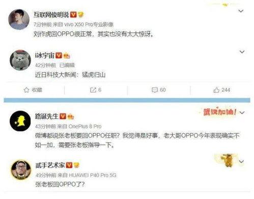 今日份大瓜是什么意思,大瓜背后的真相与热议