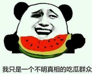 吃瓜群众黑二完整版,一场关于网络舆论的完整版探讨