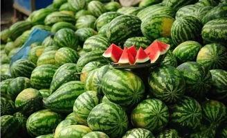 7wcc吃瓜爆料最新官网,揭秘娱乐圈最新热点事件